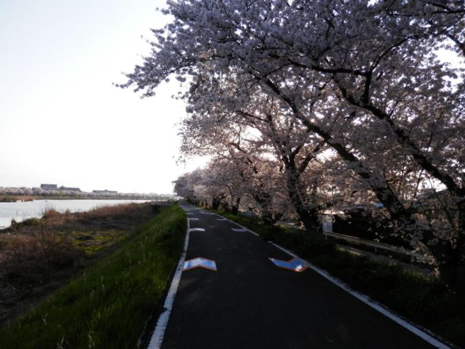 茨城県南部の桜川