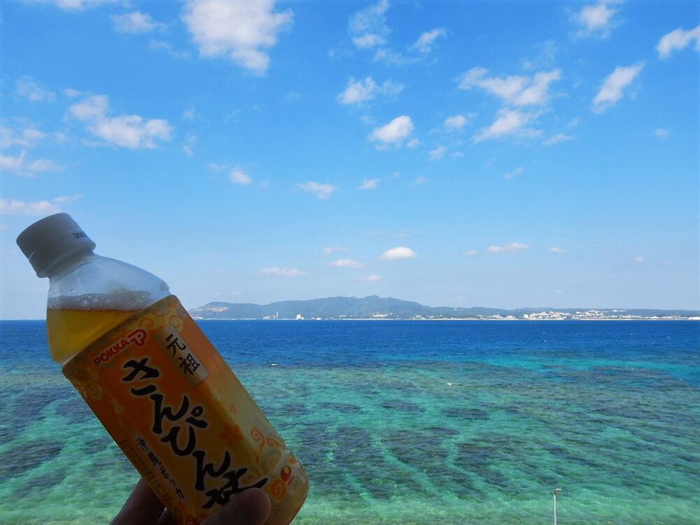 道の駅許田からの海とさんぴん茶