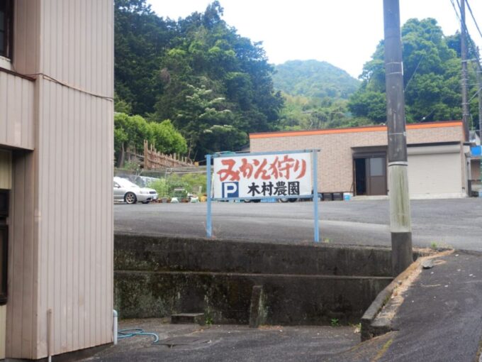 静岡県・亀石峠、みかん狩りの看板