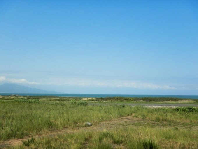 清水三保海浜公園