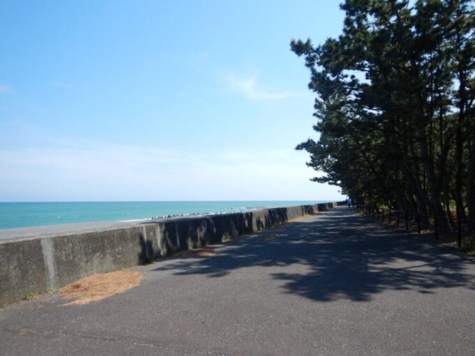 清水三保海浜公園