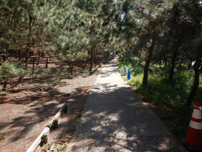 三保の松原、遊歩道