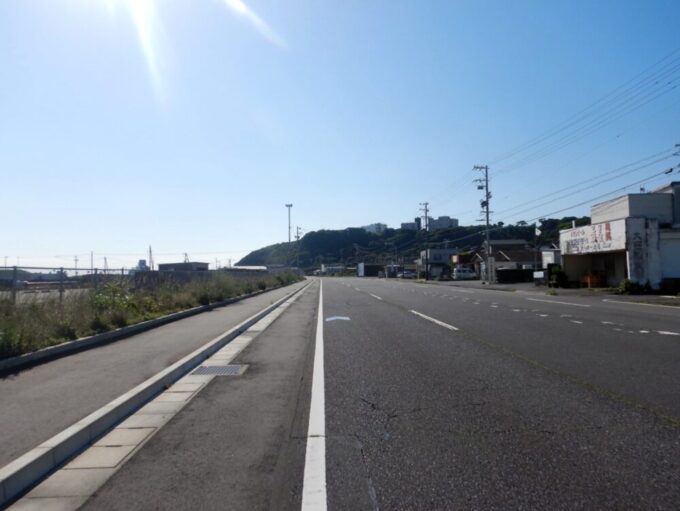 静岡県御前崎市の御前崎ヤシの木通り