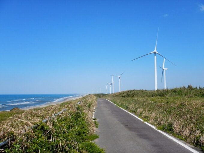 浜松御前崎自転車道、海と風車群