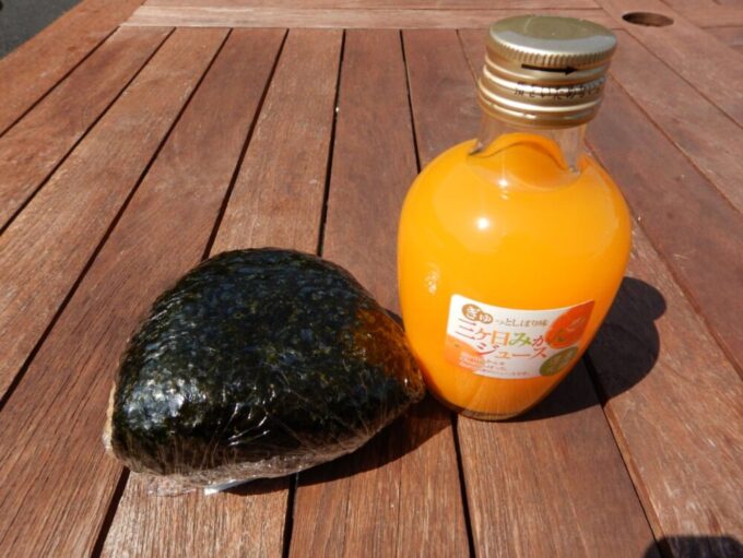 道の駅潮見坂、げんこつおにぎり、三ヶ日みかんジュース