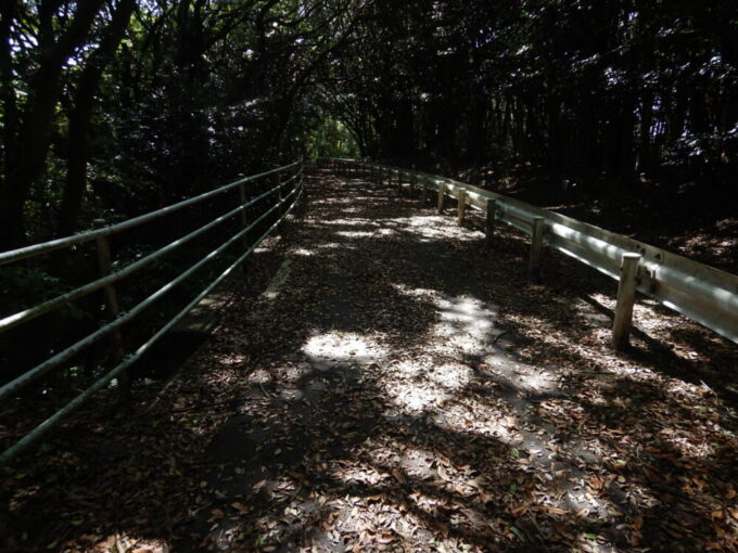 田原豊橋自転車道