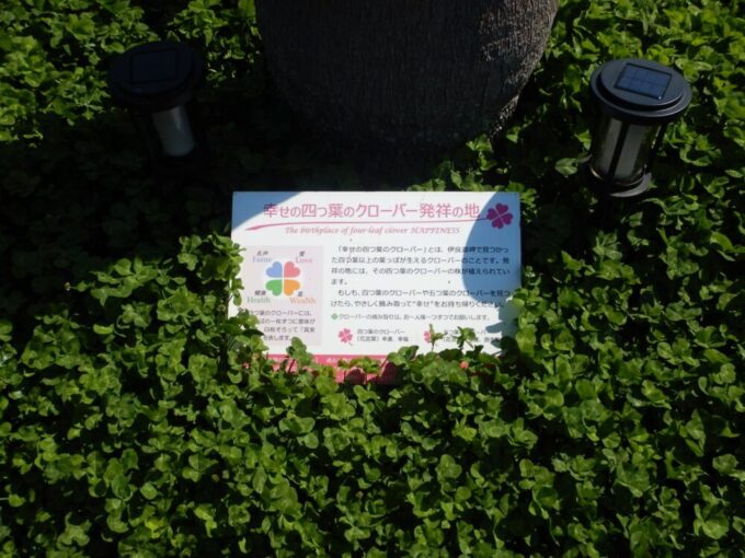 伊良湖岬、恋路ヶ浜、幸せの四つ葉のクローバー発祥の地