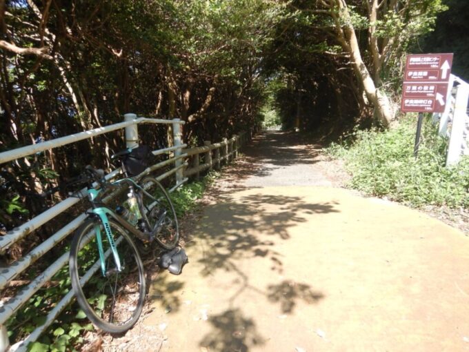 伊良湖岬灯台への道